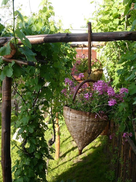 Albergo 'La Vigna' Procida Ngoại thất bức ảnh