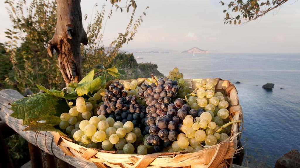 Albergo 'La Vigna' Procida Ngoại thất bức ảnh