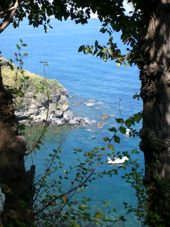 Albergo 'La Vigna' Procida Ngoại thất bức ảnh