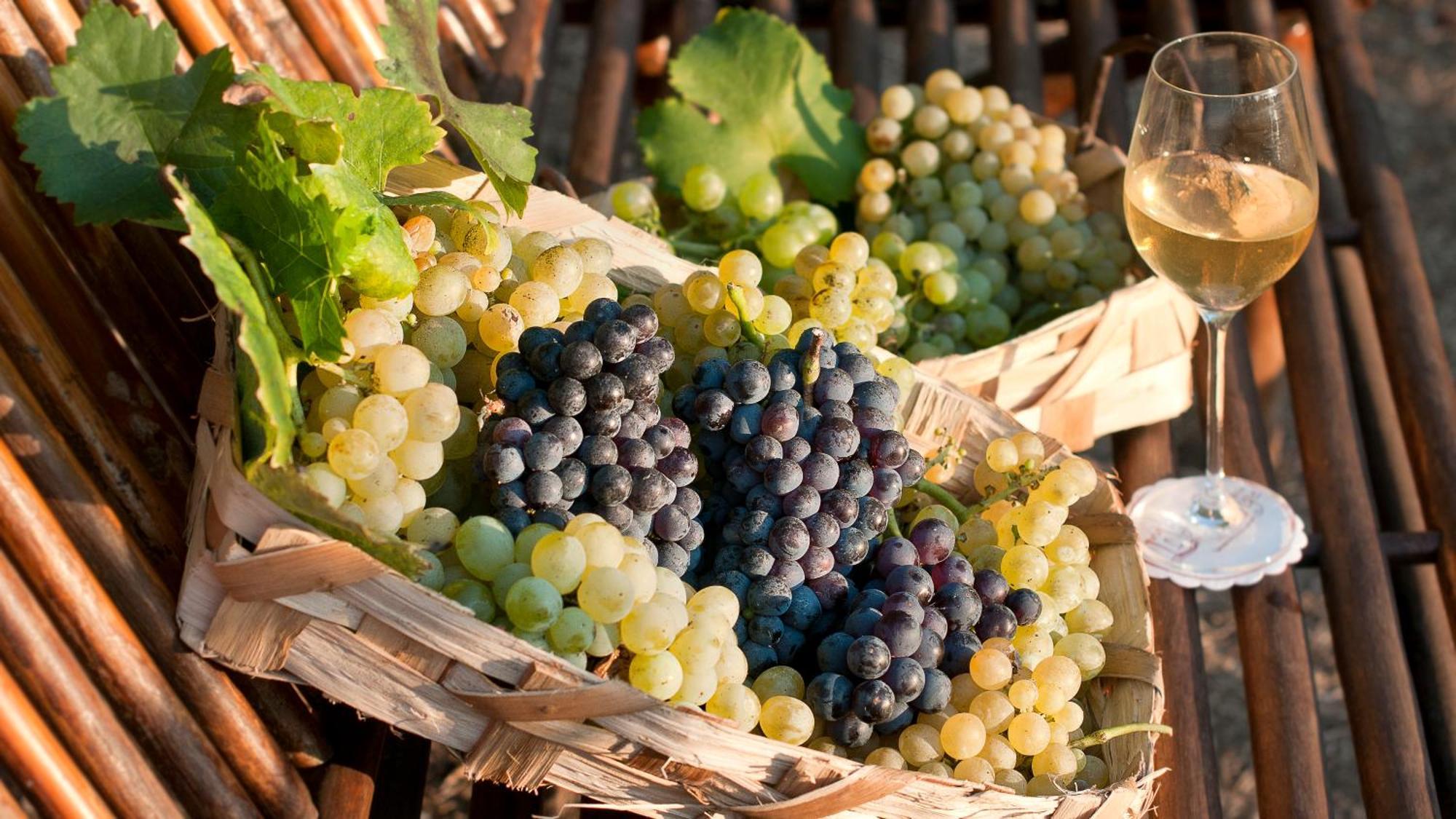 Albergo 'La Vigna' Procida Ngoại thất bức ảnh
