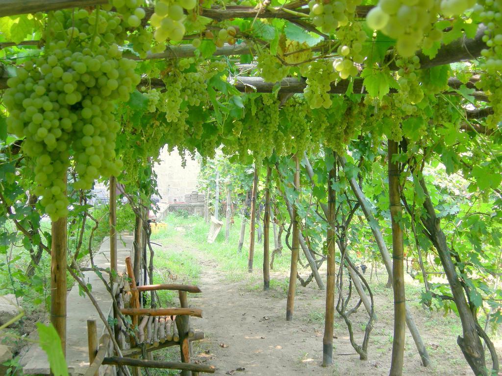 Albergo 'La Vigna' Procida Ngoại thất bức ảnh